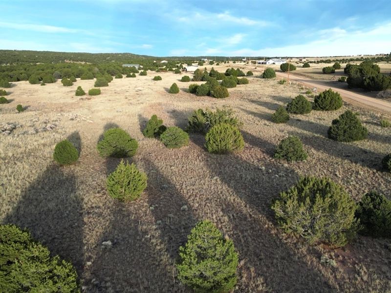 Shawnee Circle L67& 68 F4 : Walsenburg : Huerfano County : Colorado