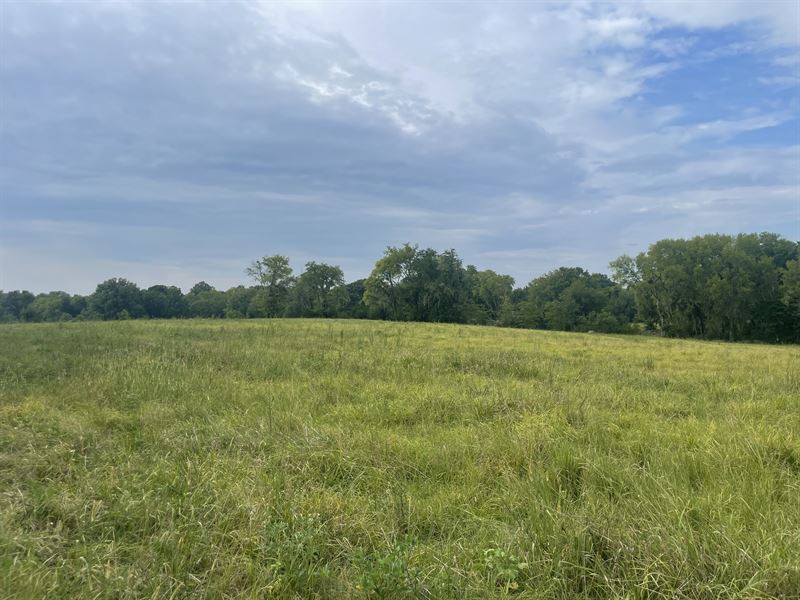 14 Acres Lowndes Co, AL for Sale : Mosses : Lowndes County : Alabama