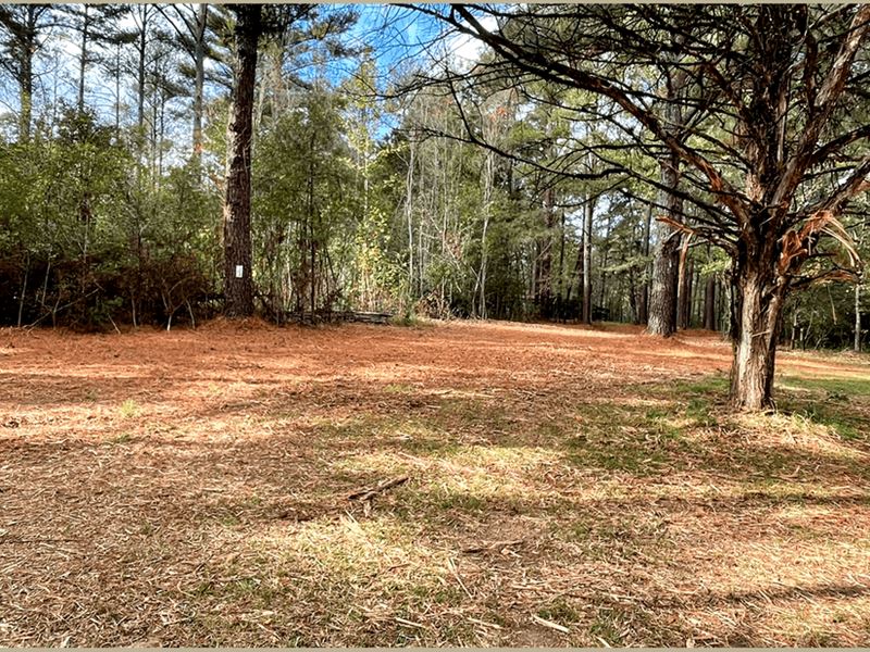 9 Acres in Madison County in Canton : Canton : Madison County : Mississippi