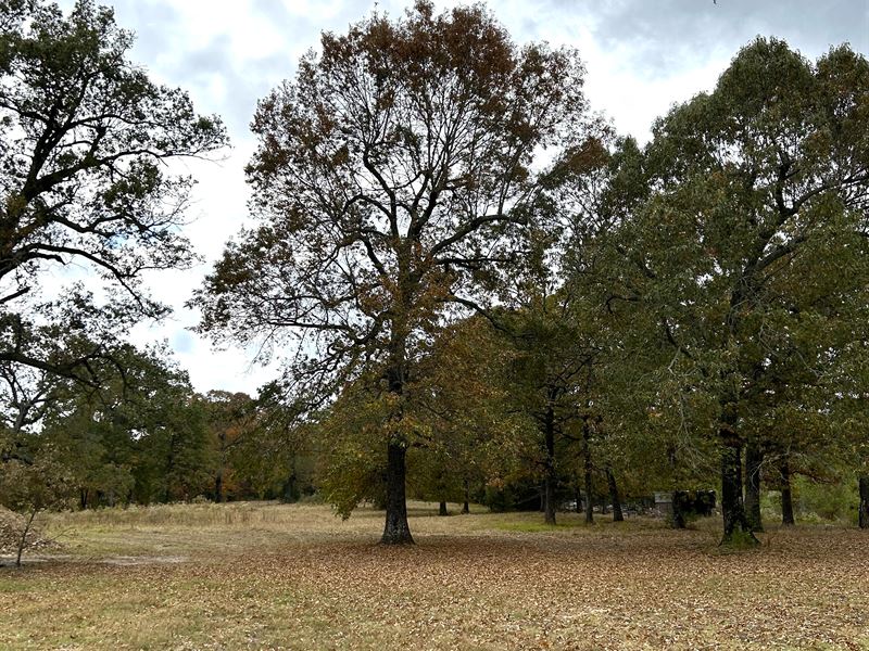 Land for Sale in Powderly, TX : Powderly : Lamar County : Texas