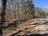 Heavily Wooded Acreage, Roxton, TX : Roxton : Lamar County : Texas