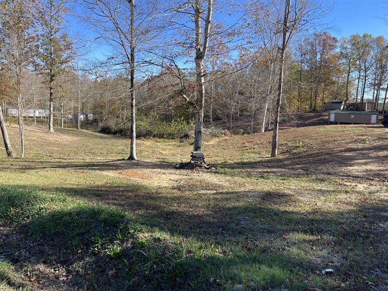 Land for Sale in Henderson County : Reagan : Henderson County : Tennessee