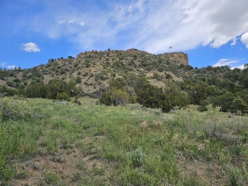 7.85 Ac Lot Near Trinidad, CO : Trinidad : Las Animas County : Colorado