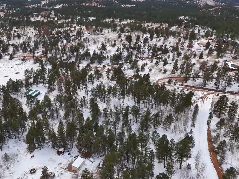 Indian Creek 5 : Lake George : Teller County : Colorado