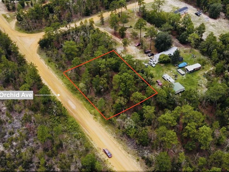 .46 Acre of Land : Interlachen : Putnam County : Florida