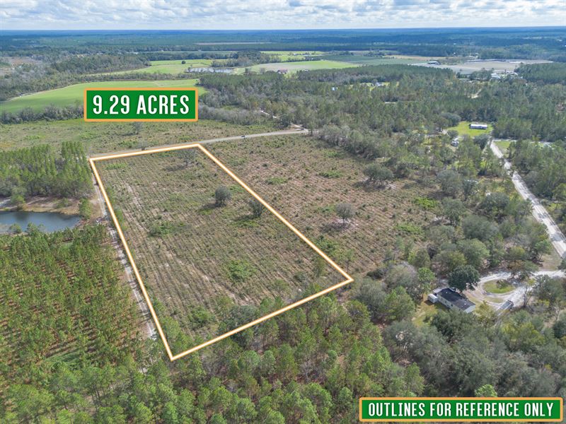 Tract 1 9.294 Acres Saddleclub Rd : Hoboken : Brantley County : Georgia