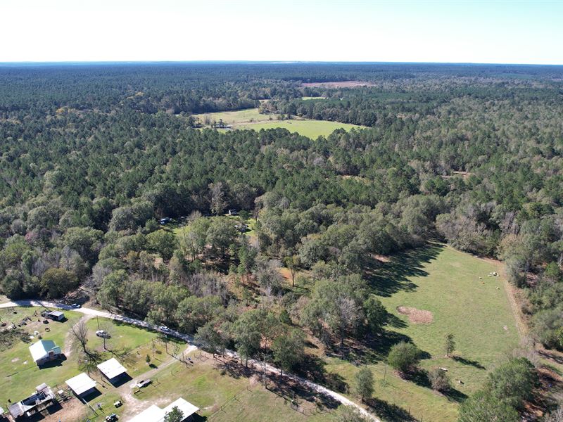 8.29 Acres in Trinity County : Apple Springs : Trinity County : Texas