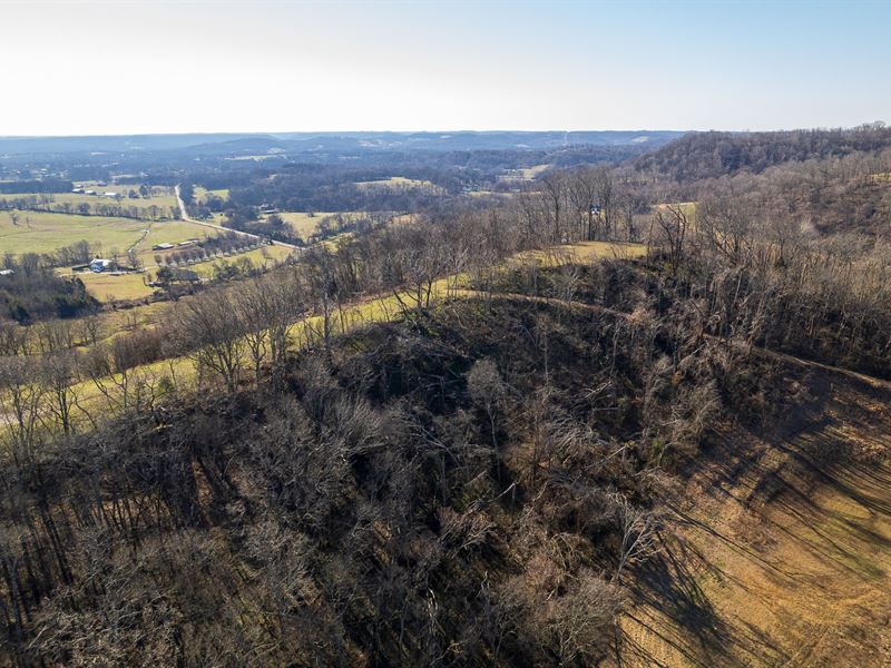 Maury County, Tn, 19.43 Acres : Culleoka : Maury County : Tennessee