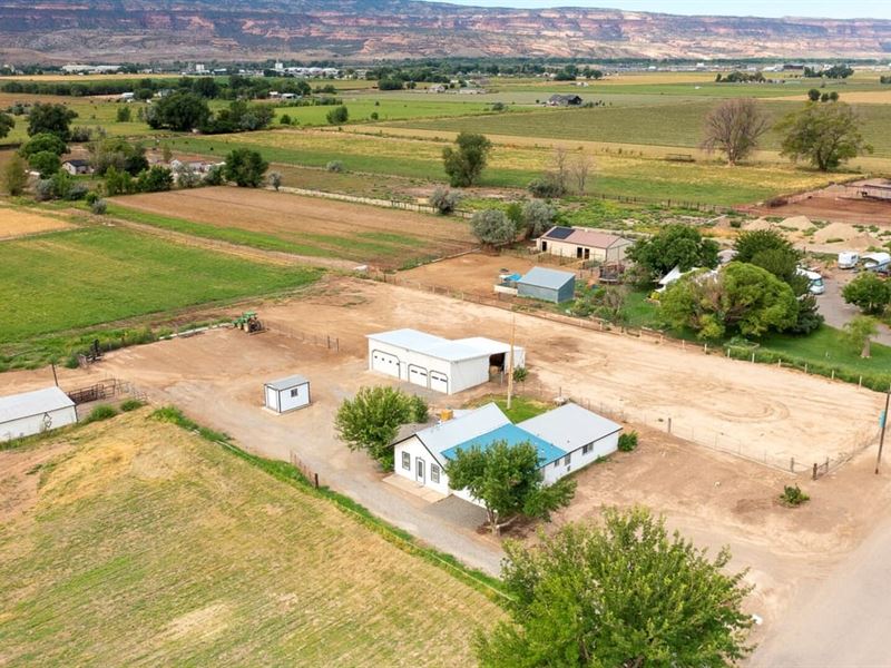 Country Home on 9 Irrigated Acres : Fruita : Mesa County : Colorado