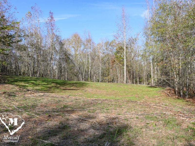 8.65 Acres, Pauline / Walnut Grove : Pauline : Spartanburg County : South Carolina