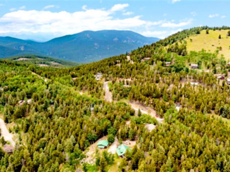 .40 Acre Wooded Mountain Escape : Idaho Springs : Clear Creek County : Colorado