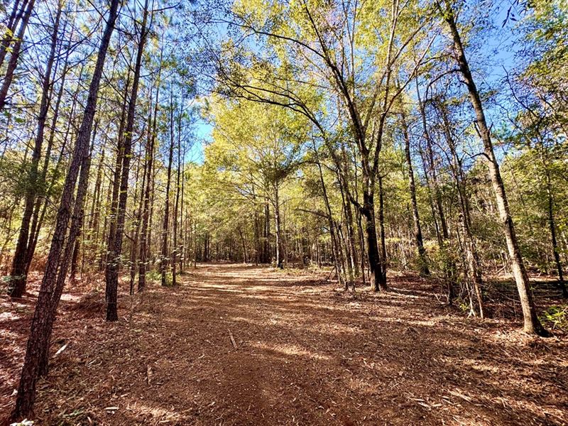 Beautiful Rural Building Lot : Bullard : Twiggs County : Georgia