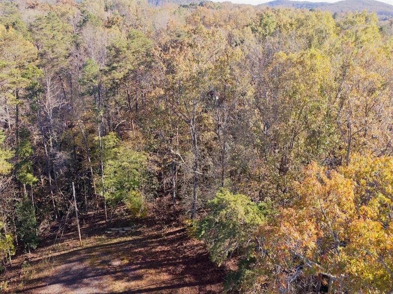 .63 Acre Lot for Sale in Montgomer : Troy : Montgomery County : North Carolina