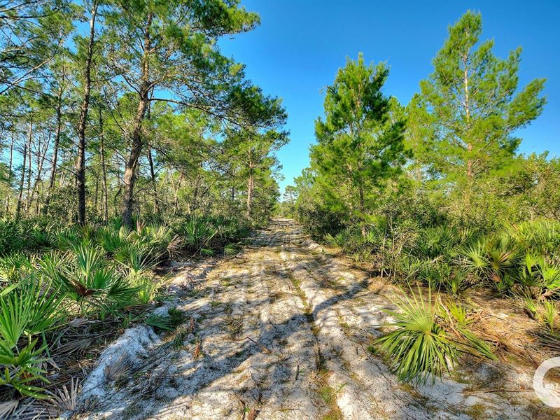 6.34 Acre Residential Homesite : Frostproof : Polk County : Florida