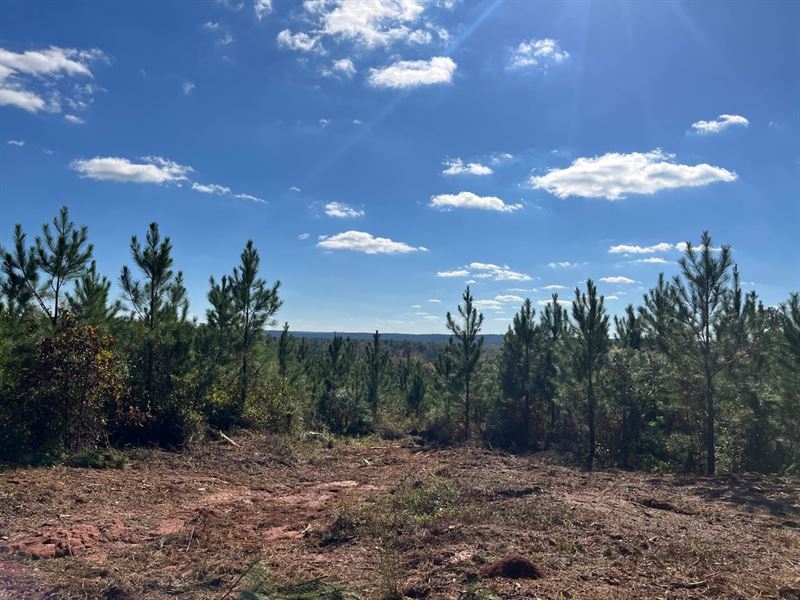 Homesite, Well, Power, & View : Toomsboro : Wilkinson County : Georgia