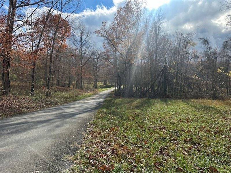 5.05 Acres Unrestricted Wooded Pr : Pikeville : Bledsoe County : Tennessee