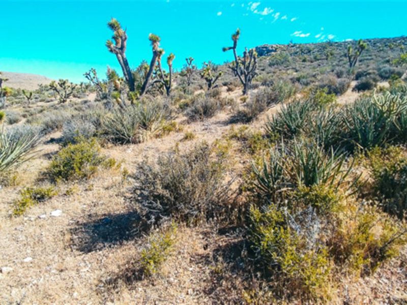 Life's Better with a View : Meadview : Mohave County : Arizona