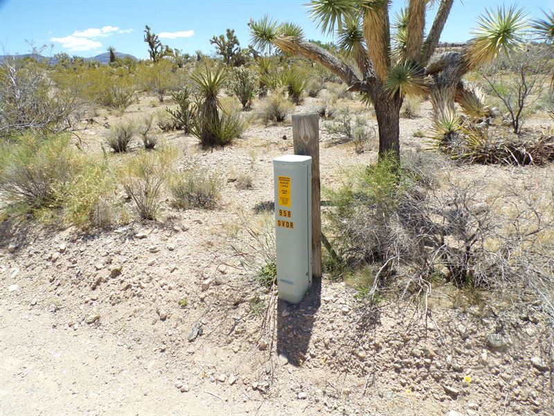 No HOA Lake Mead with Power : Meadview : Mohave County : Arizona