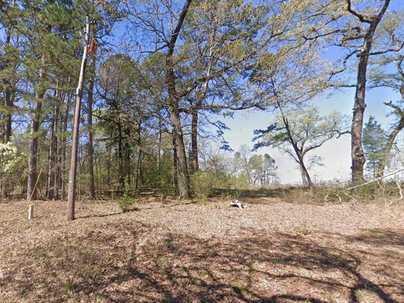 .22 Acre Lot in Marion County, TX : Jefferson : Marion County : Texas