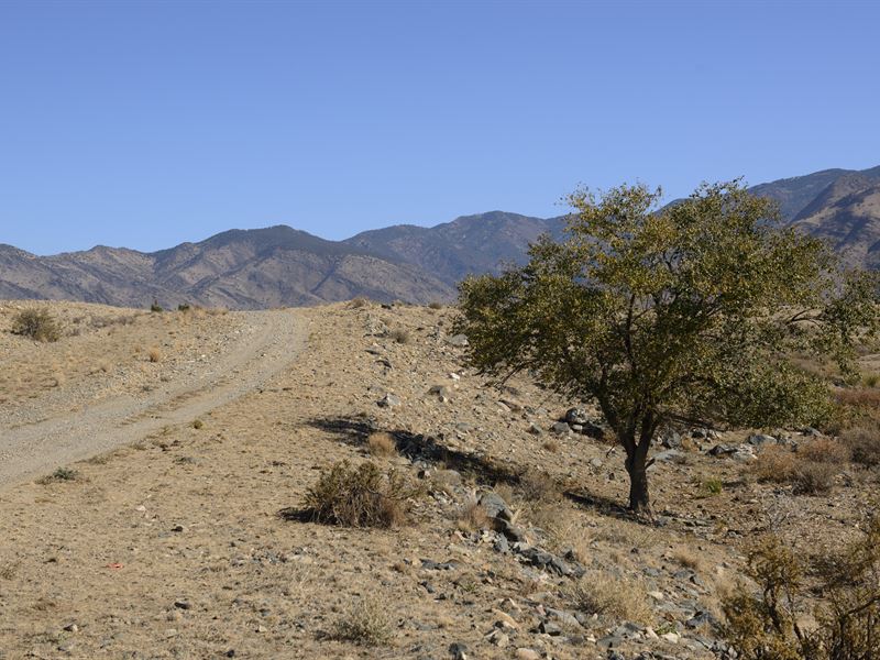 1 Mile to Peaks & National Forest : Belen : Valencia County : New Mexico