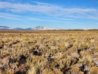 Beautiful, Flat Property : Blanca : Costilla County : Colorado