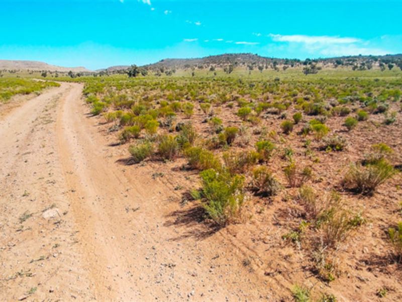 Wild West Living : Meadview : Mohave County : Arizona