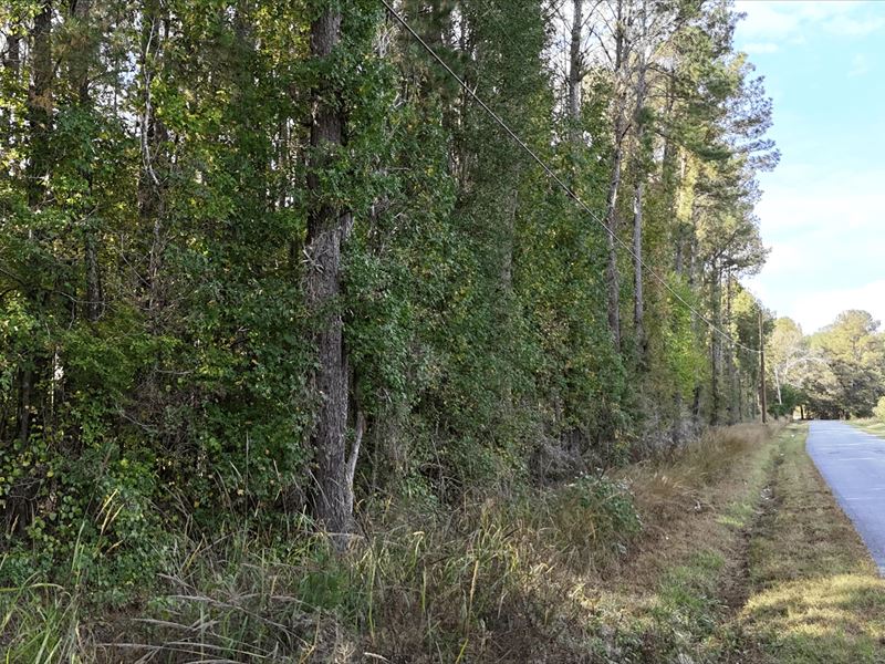 4 Acres in Simpson County in Braxto : Braxton : Simpson County : Mississippi