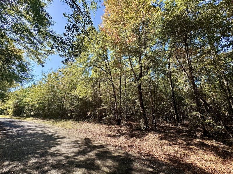 Beautiful Rural Homesite : Bullard : Twiggs County : Georgia