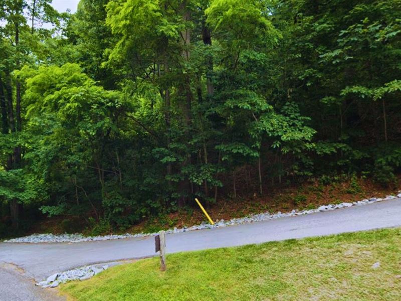 .91 Acre Only 25 Mins to Dupont : Hendersonville : Henderson County : North Carolina