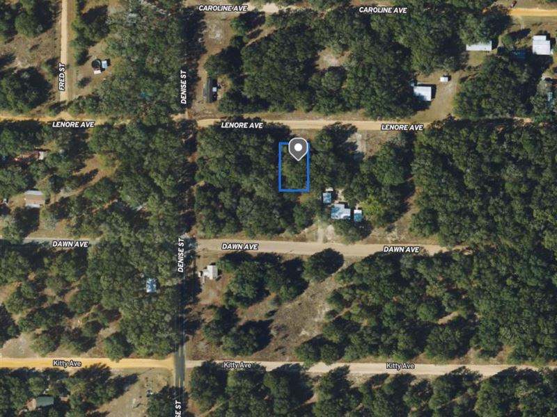 .22 Ac in Sunny Putnam County, FL : Interlachen : Putnam County : Florida