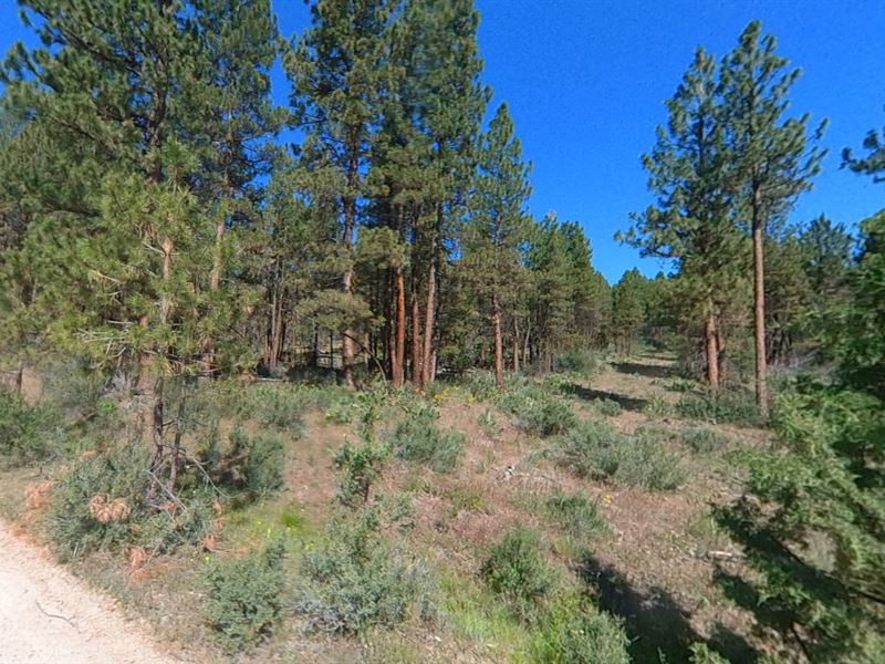 1.40 Ac in Off-Grid Klamath County : Beatty : Klamath County : Oregon