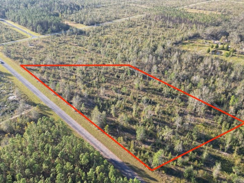 4.45 Acre Lot with Growth Potential : Live Oak : Suwannee County : Florida