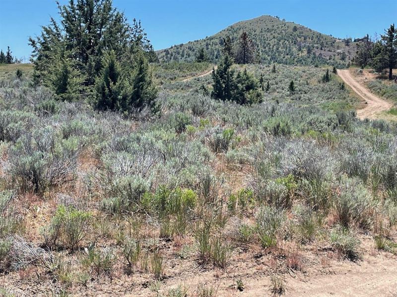 Designed for 34 Lots, 5.21 Acres : Klamath Falls : Klamath County : Oregon