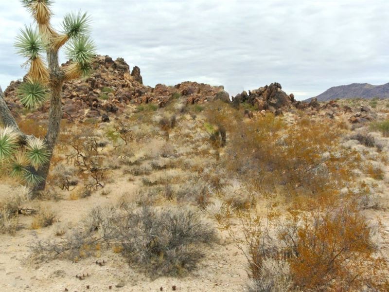 Outdoor Enthusiast Playground : Yucca : Mohave County : Arizona