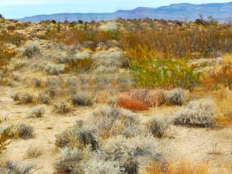 4.5 Acres in Yucca, AZ Only $189/Mo : Yucca : Mohave County : Arizona