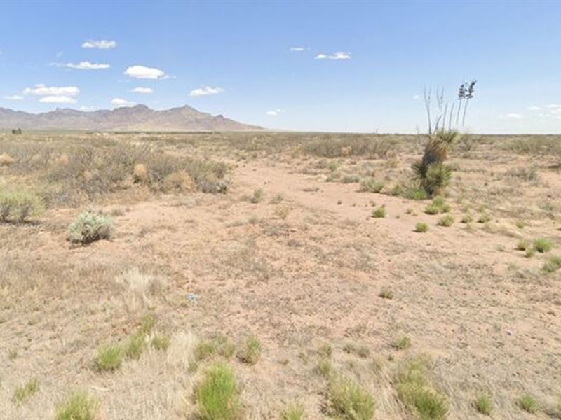 Land Yourself A Deal, Only $99/Mo : Deming : Luna County : New Mexico