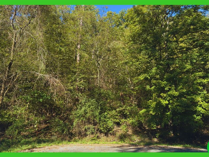 .5 Acre Near Cherokee Lake : Talbott : Jefferson County : Tennessee