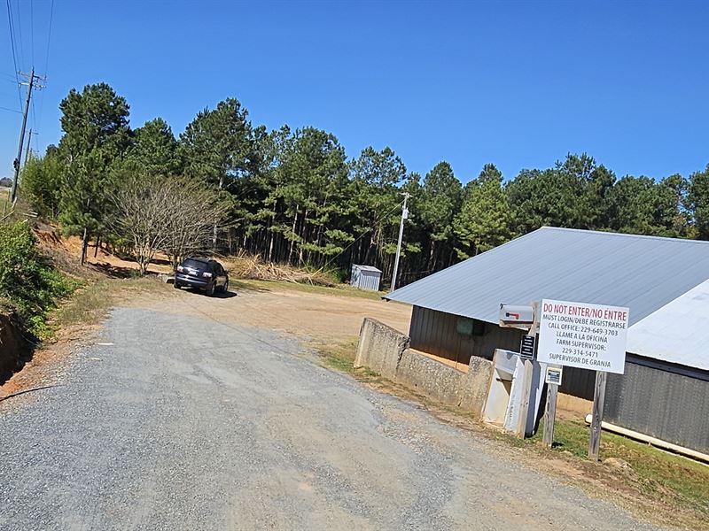 Breeder Farm with 3 Houses : Elko : Houston County : Georgia