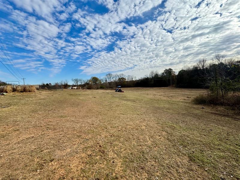 17 Acres in Cecil, Arkansas : Cecil : Franklin County : Arkansas