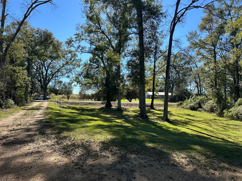 1.5 Acres with A Home in Amite Coun : Liberty : Amite County : Mississippi