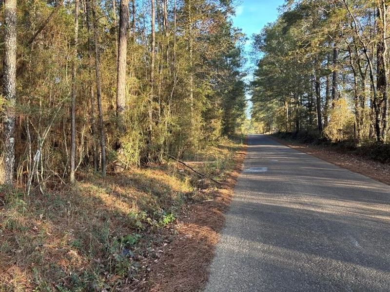 7.5 Acres in Pike County, MS : Magnolia : Pike County : Mississippi