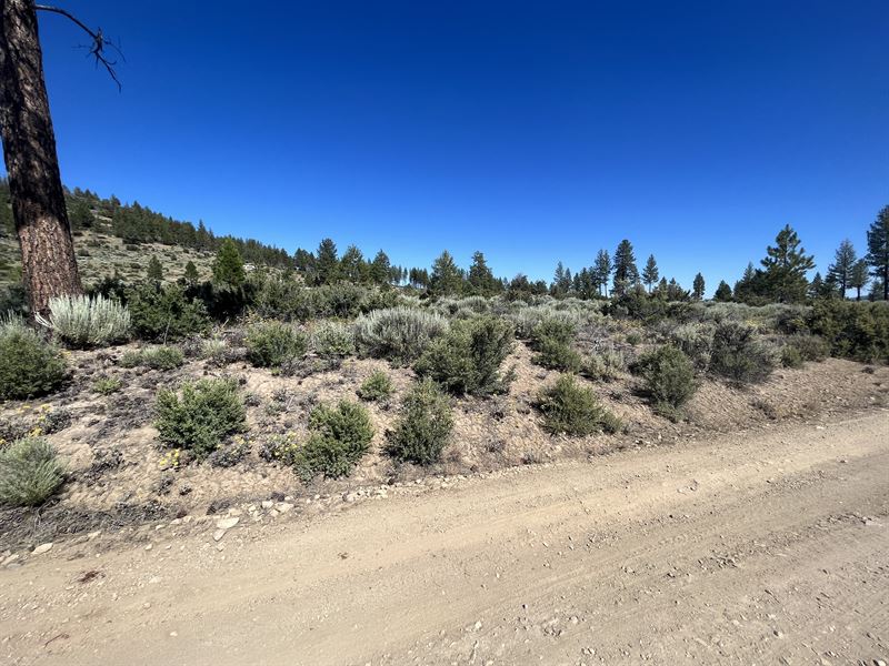 Prime Land, Beautiful : Sprague River : Klamath County : Oregon