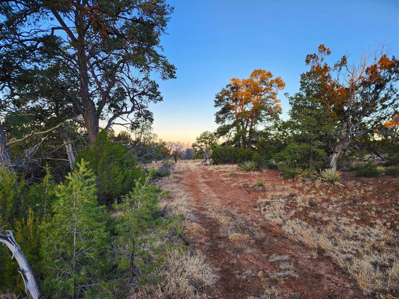 RV Friendly Off Grid Unlimited Camp : Pinehill : Cibola County : New Mexico