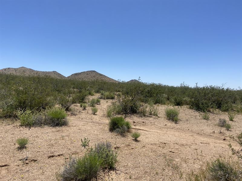 Affordable Arizona Land in Kingman : Kingman : Mohave County : Arizona