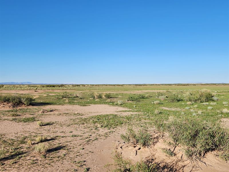 Big News, 2.50 Acres in Luna County : New Mexico : Luna County : New Mexico