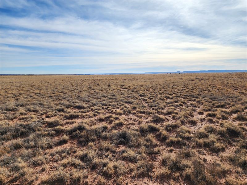 Highly Sought After Location : Holbrook : Apache County : Arizona