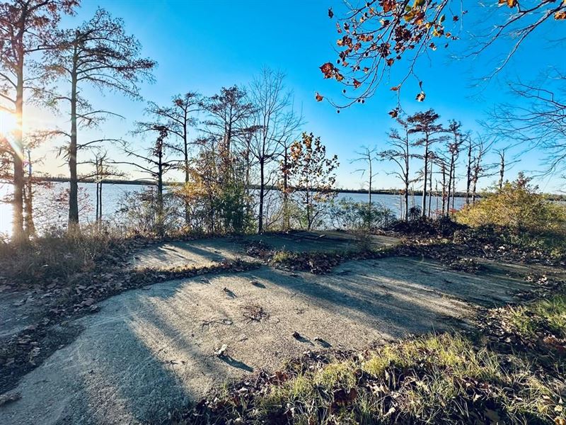 .4 Ac Lake Mary Rd, Woodville, MS : Woodville : Wilkinson County : Mississippi