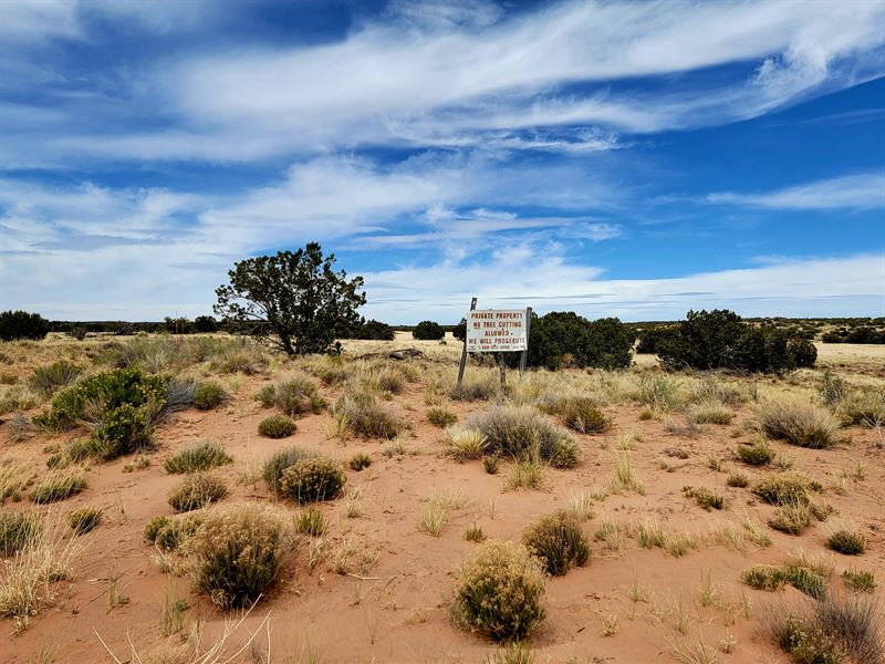 2.5 Acres Near Painted Desert Inn : Chambers : Apache County : Arizona