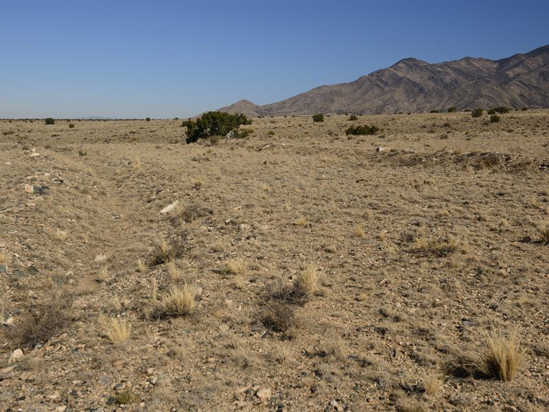 Perfect Spot To Take A Hike : Belen : Valencia County : New Mexico