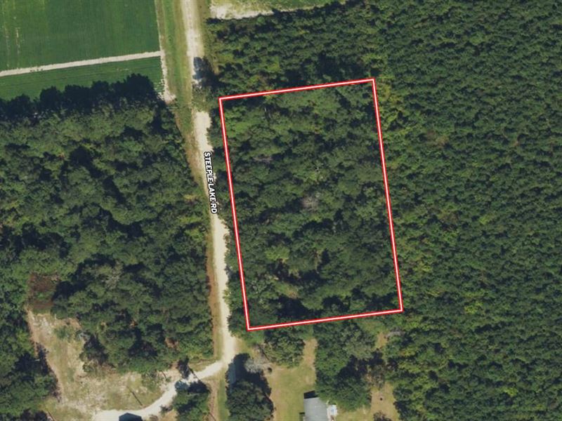 1.38 Acres of Residential Land : La Grange : Greene County : North Carolina